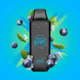 FLAVOUR BEAST - BLESSED BLUEBERRY MINT